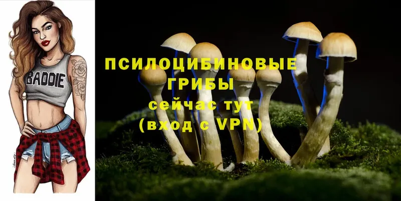 мега онион  Петровск  Псилоцибиновые грибы GOLDEN TEACHER 